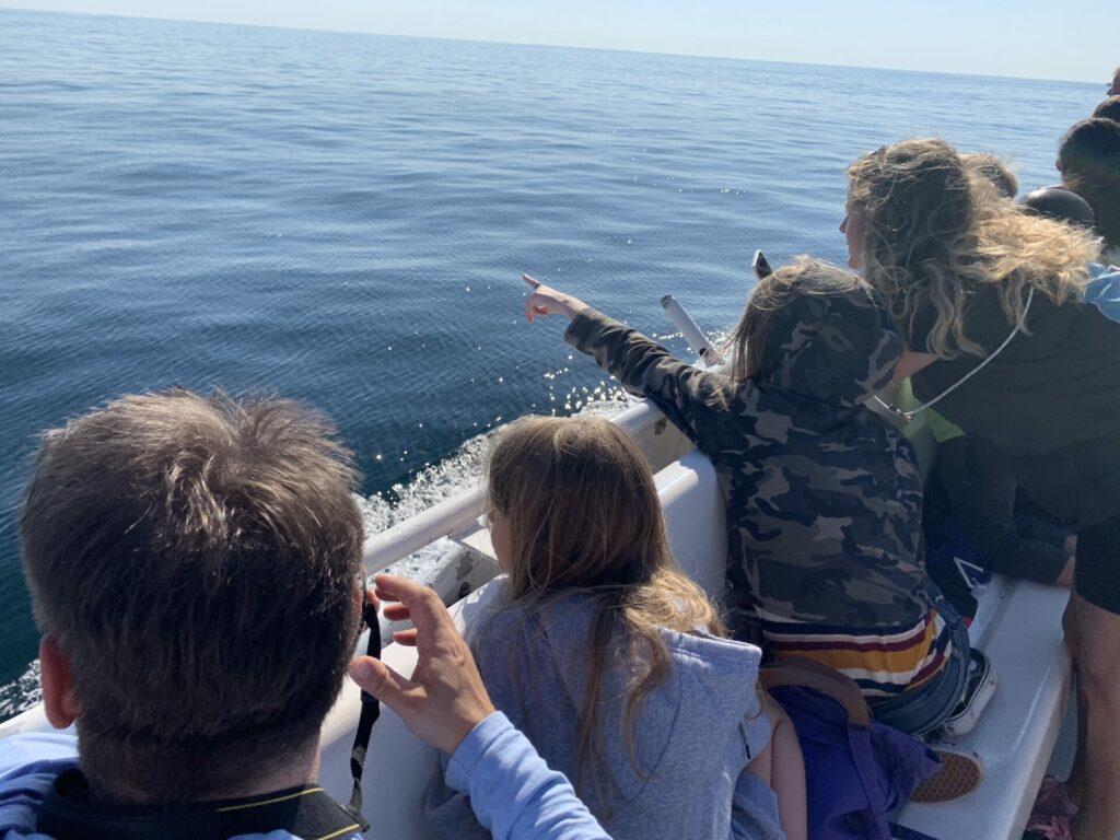 *10 wunderschöne Outdoor Aktivitäten in Massachusetts - eurovanture